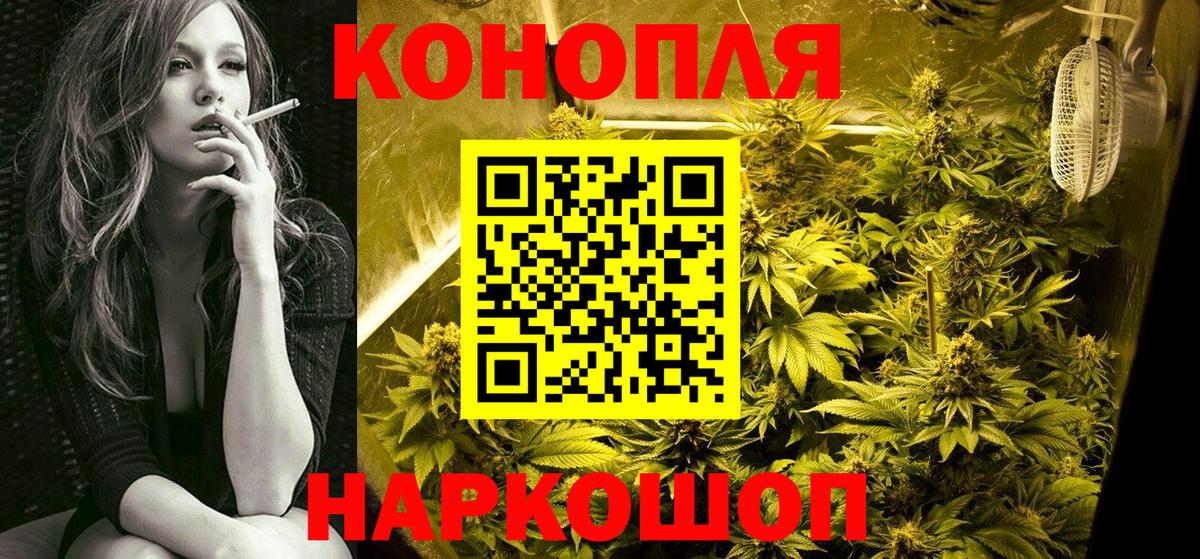 Артём  Бошки марихуана планчик  Конопля тримм  Вход с VPN 